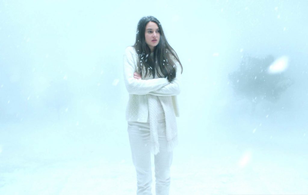 Shailene Woodley em "Pássaro Branco na Nevasca"